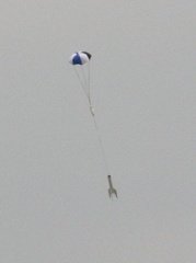 IMG 1019