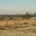 DSC01699