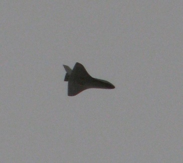 IMG 7986