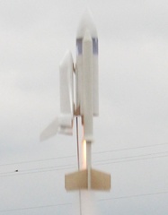 IMG 8004-crop