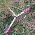 IMG 7597