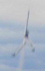 IMG 7605