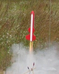 IMG 7634-crop