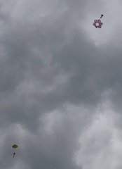 IMG 7646