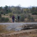 DSC 0009 051
