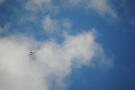 DSC 0018 058