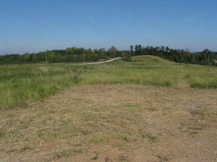IMG 0593
