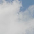 DSC 0009 11009