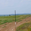 DSC 0021 11021